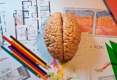 Qué es la neuroarquitectura y cómo aplicarla en el aula